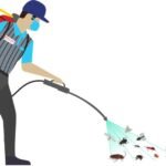 شركة مكافحة حشرات بحائل