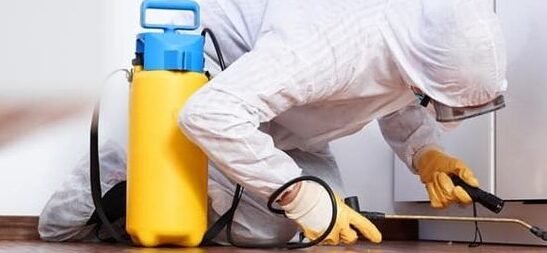 مكافحة بعوض